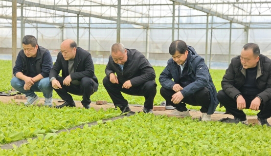 陇湘烟缘：跨越山河的忠诚奔赴 ——甘肃中烟与湖南道县烟草二十五年合作纪实