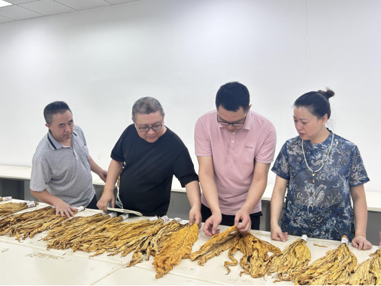 湖北恩施州烟草：周行千里，“成”就金叶匠心