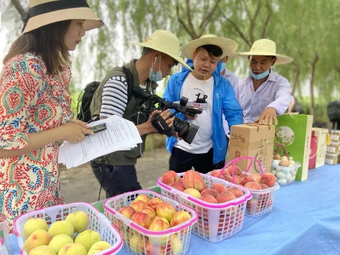 湖北孝感：从“桃花”到“桃香”，“小果实”酿出振兴“甜滋味”