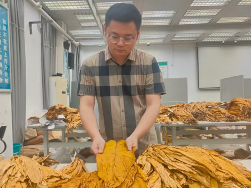 湖南嘉禾烟草：点叶成金刘师傅 赤诚匠心暖烟农——记郴州五一劳动奖章获得者、“省级技术能手”刘浩