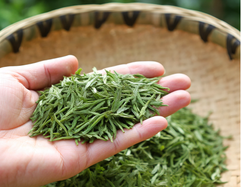 湖北孝感大悟烟草：茶香粉韵出深山 终端织梦焕新颜