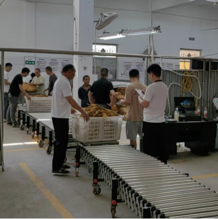 湖南邵阳县烟草：金叶归仓记