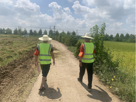 湖北安陆：驻守田园耕热土 振兴沃野践初心