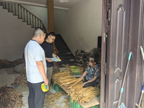 福建武夷山烟草：护闽北净土 破监管壁垒