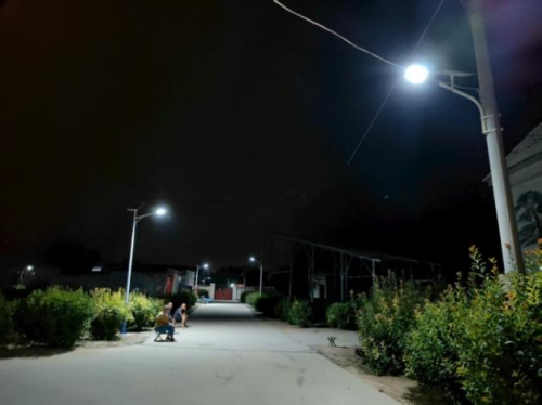 山东泰安肥城桃园镇：小项目点亮民生路 衔接资金赋能乡村振兴