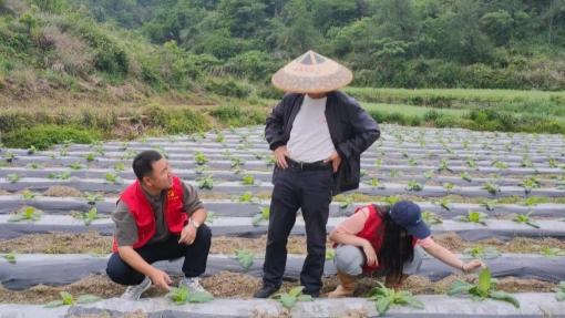 湖南省湘西州烟草：奏响科普进行曲，智慧生产向未来