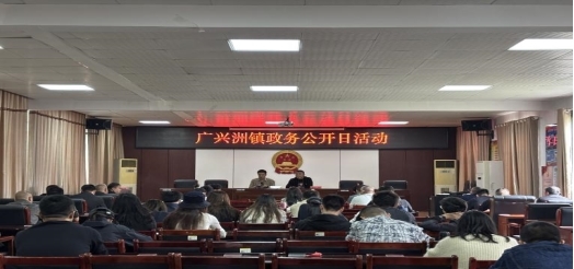 岳阳市君山区广兴洲镇开展“政务公开日”活动，让惠民政策“走新”更“走心”