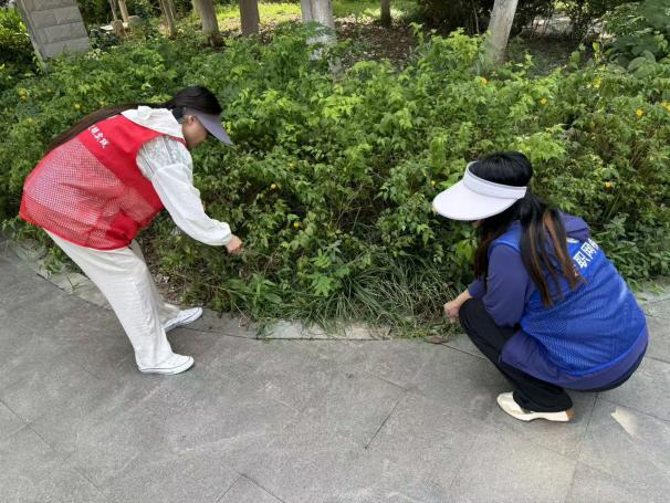全员“动起来”！苏州香城花园社区开展辖区大扫除，刷新环境 “颜值”