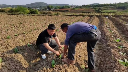 湖南嘉禾烟草：向下扎根，向上生花，胡雅杰的人生三重修炼