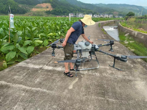 福建武夷山烟草：农机赋能产业转型 烟稻轮作叩开增收“致富门”