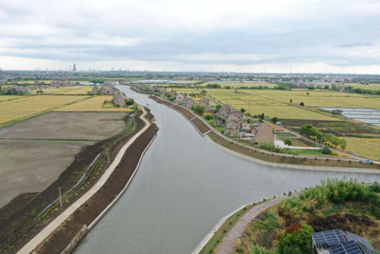 江苏溧阳埭头镇：常州河三期生态工程绘就水清岸绿新画卷