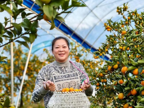 福建省三明市尤溪县：“头雁”振翅 “土特