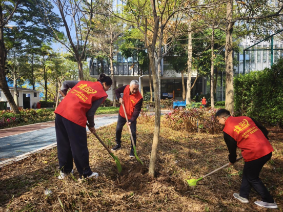 中建交通华南投资公司开展植树志愿活动