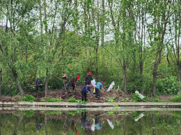 泰州姜堰区罗塘街道：闭环管护推动水岸同治
